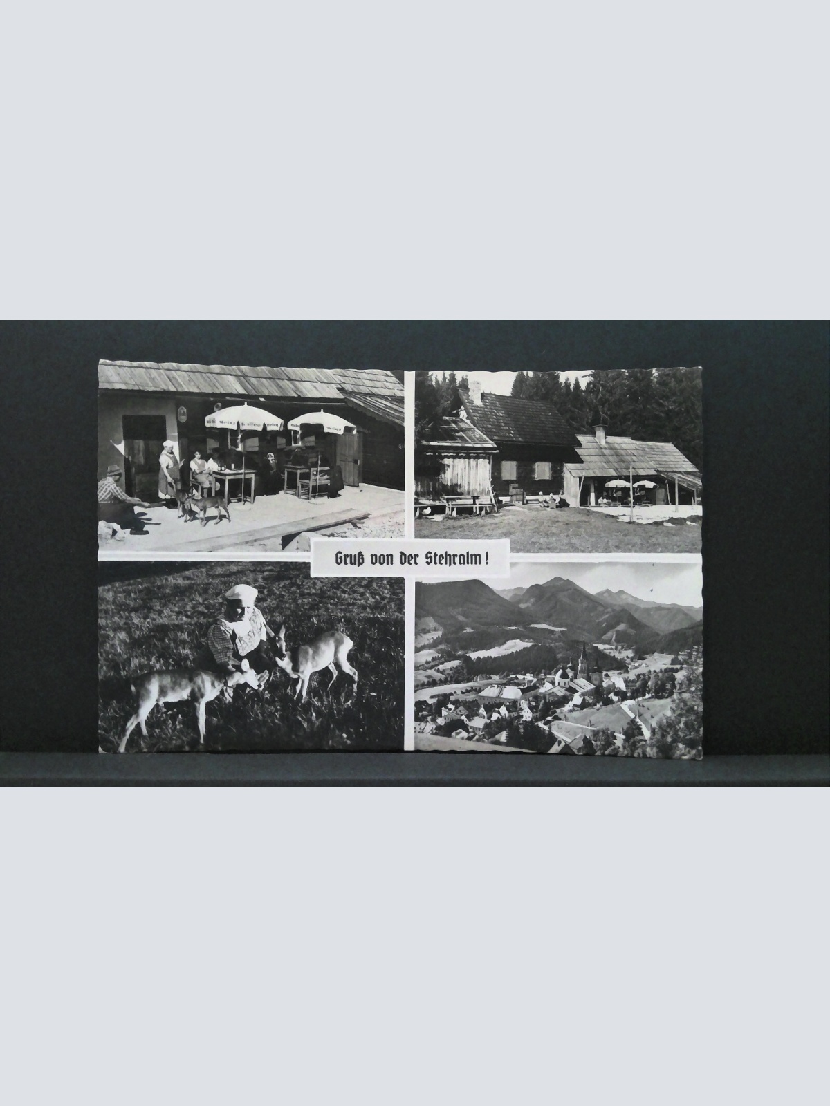 Gruß von der Stehralm Mariazell JW 500298 C