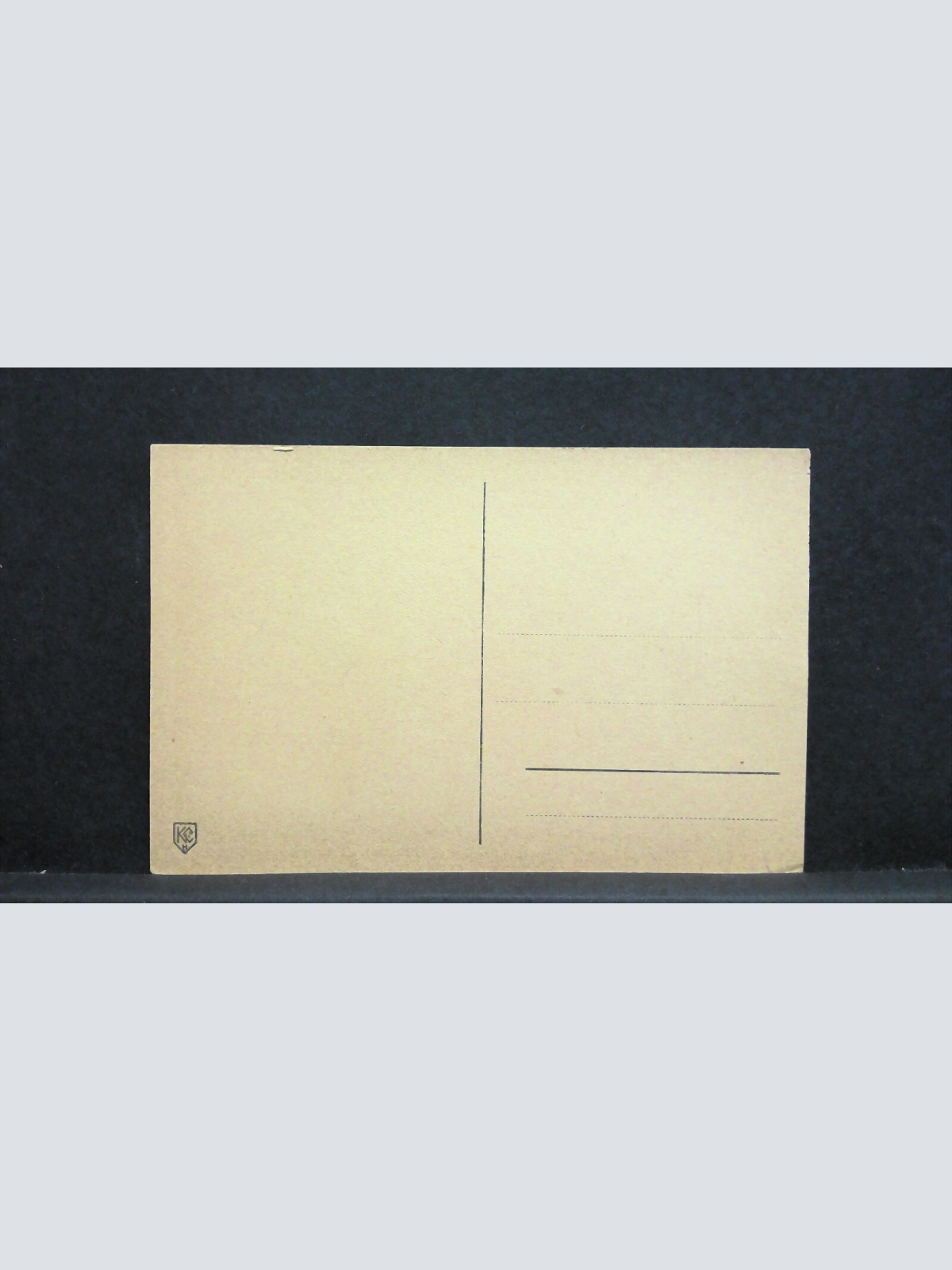 Mainz Markt mit Brunnen und Nähkiste 180103 jw