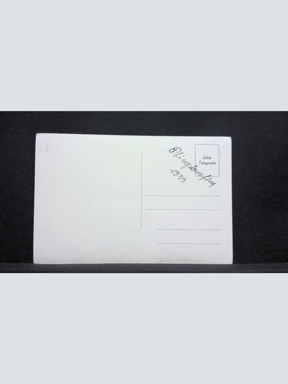 Ausblick von der Hohen Wand gegen Schneeberg 40055 jw J