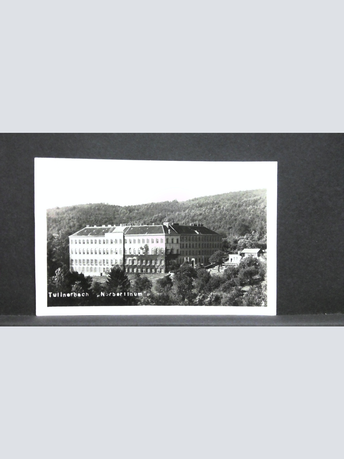 Tullnerbach Norbertinum 60200 jw J