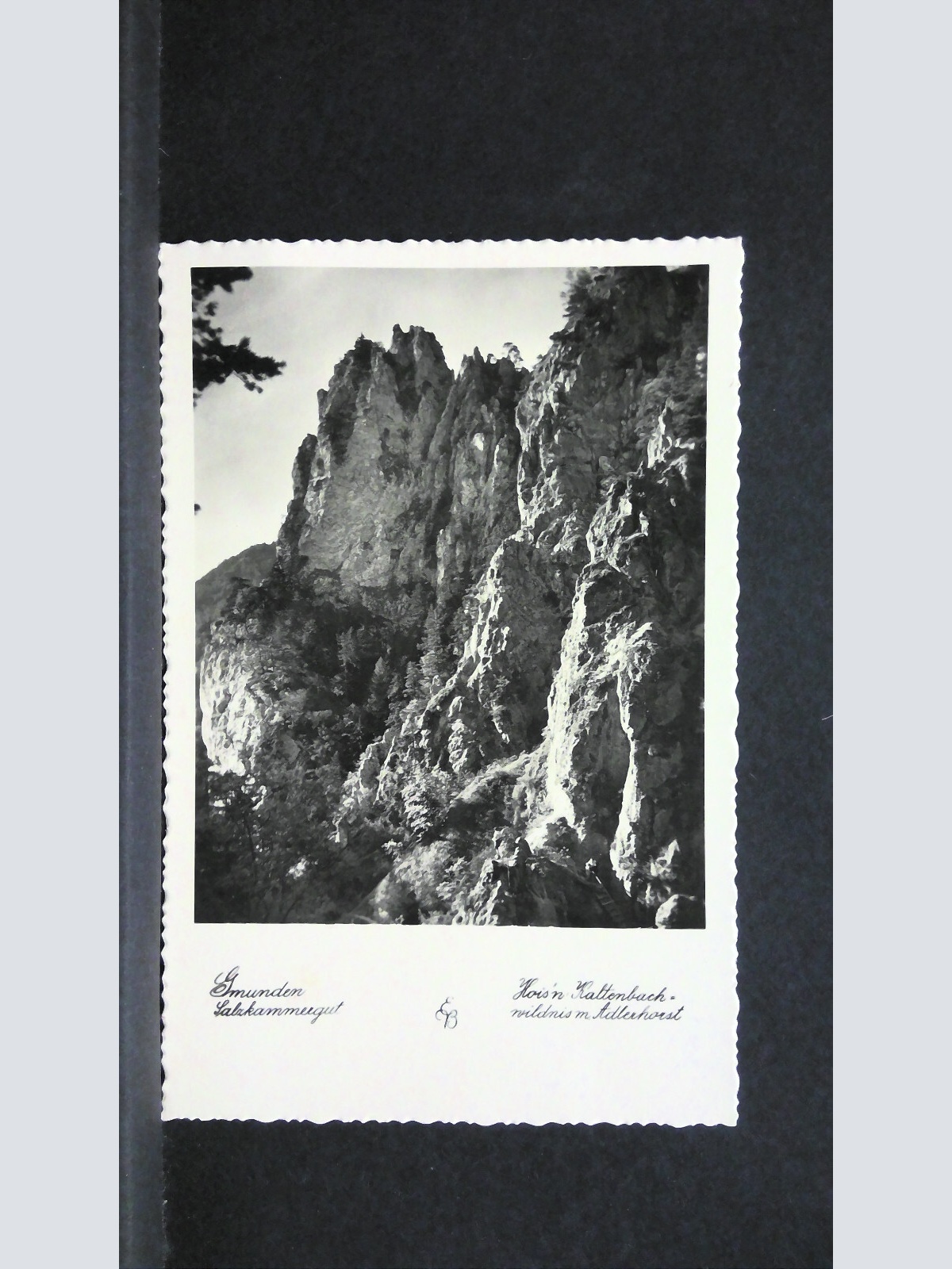 Gmunden Salzkammergut Kaltenbachwildnis mit Adlerhorst 40135 jw J