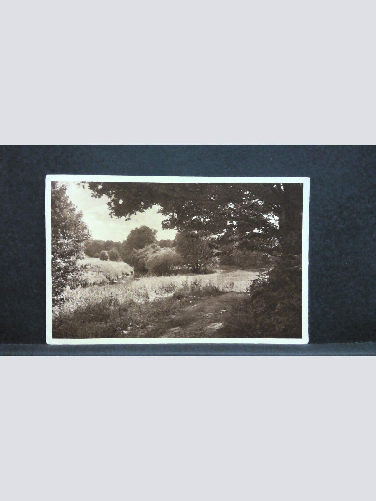 Wald Wiese Bach Ringsum ein Duften und Blühen Naturwanderungen 20099 jw J