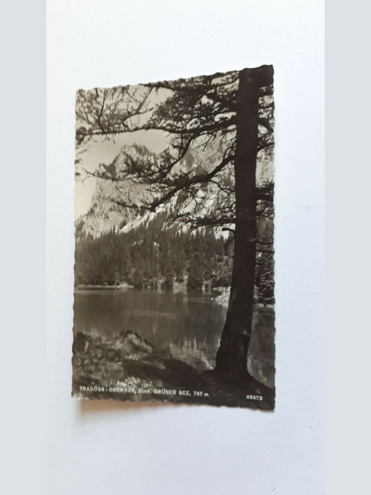 Tragöss - Oberorf, Stmk. Grüner See, 767m. 20104 ShSt