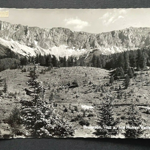 Brunnalm Hoher Veitsch Berg Gebirge Mürztal Steiermark Österreich 401024 TH A