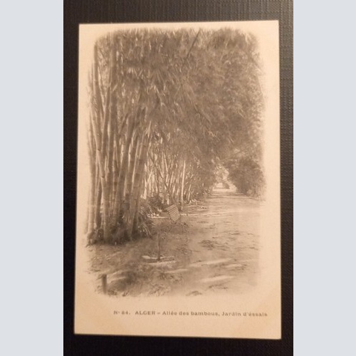 N 48 Alger Allee Des Bambous Jardin D'Essals 800045 Ga