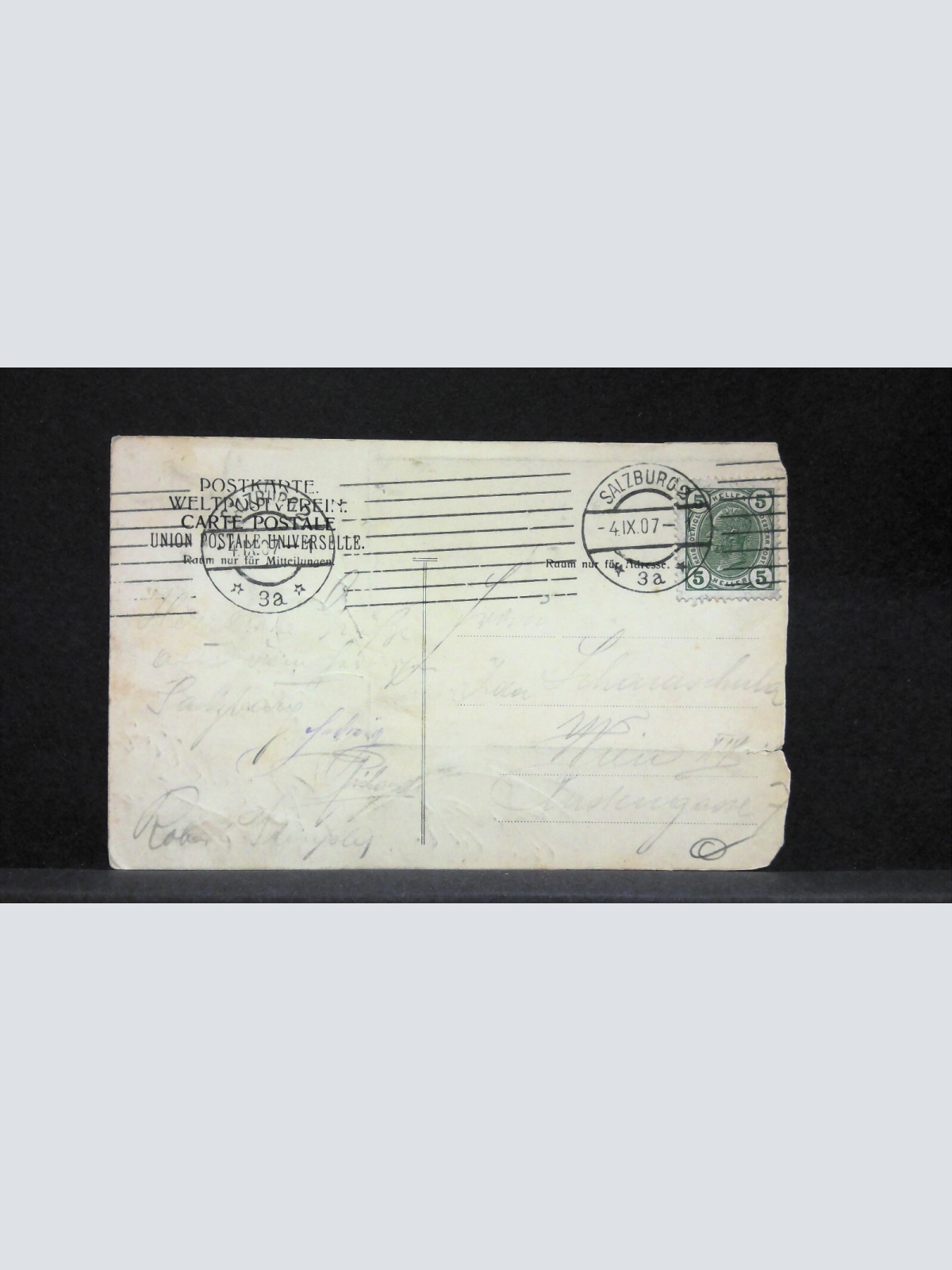 Salzburg Schloss Hohensalzburg Edelweiß JW165764