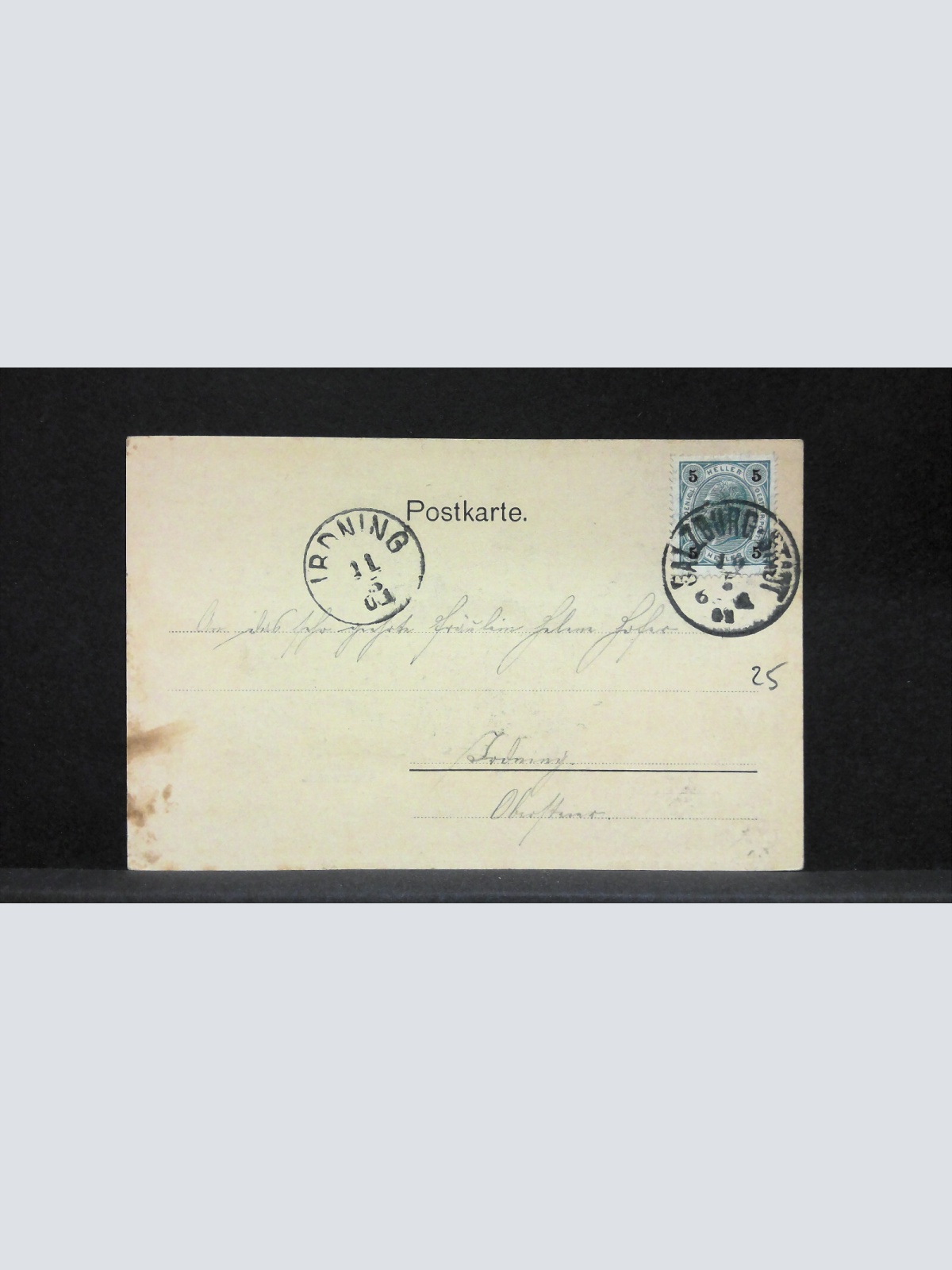 Salzburg Salzach Blumen Zweige JW5746