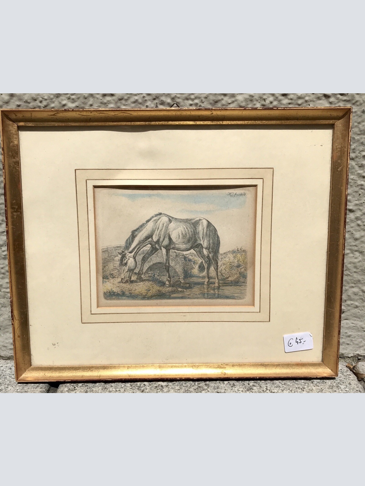 nostalgie bild, Zeichnung 1818, Pferd, Johann Adam, 32 x 26cm (300016)