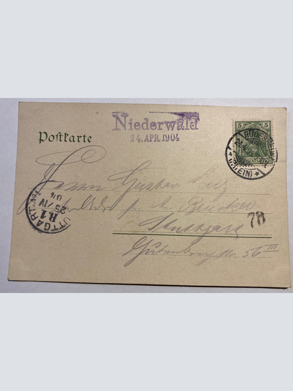 Burg Rheinstein 84007