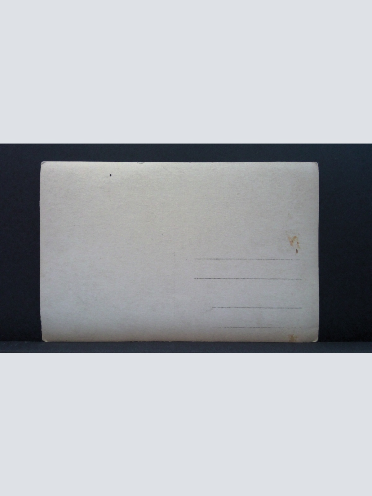 Bäurin Boot Fähre Mann Gänse Fluss See JW 650469 C