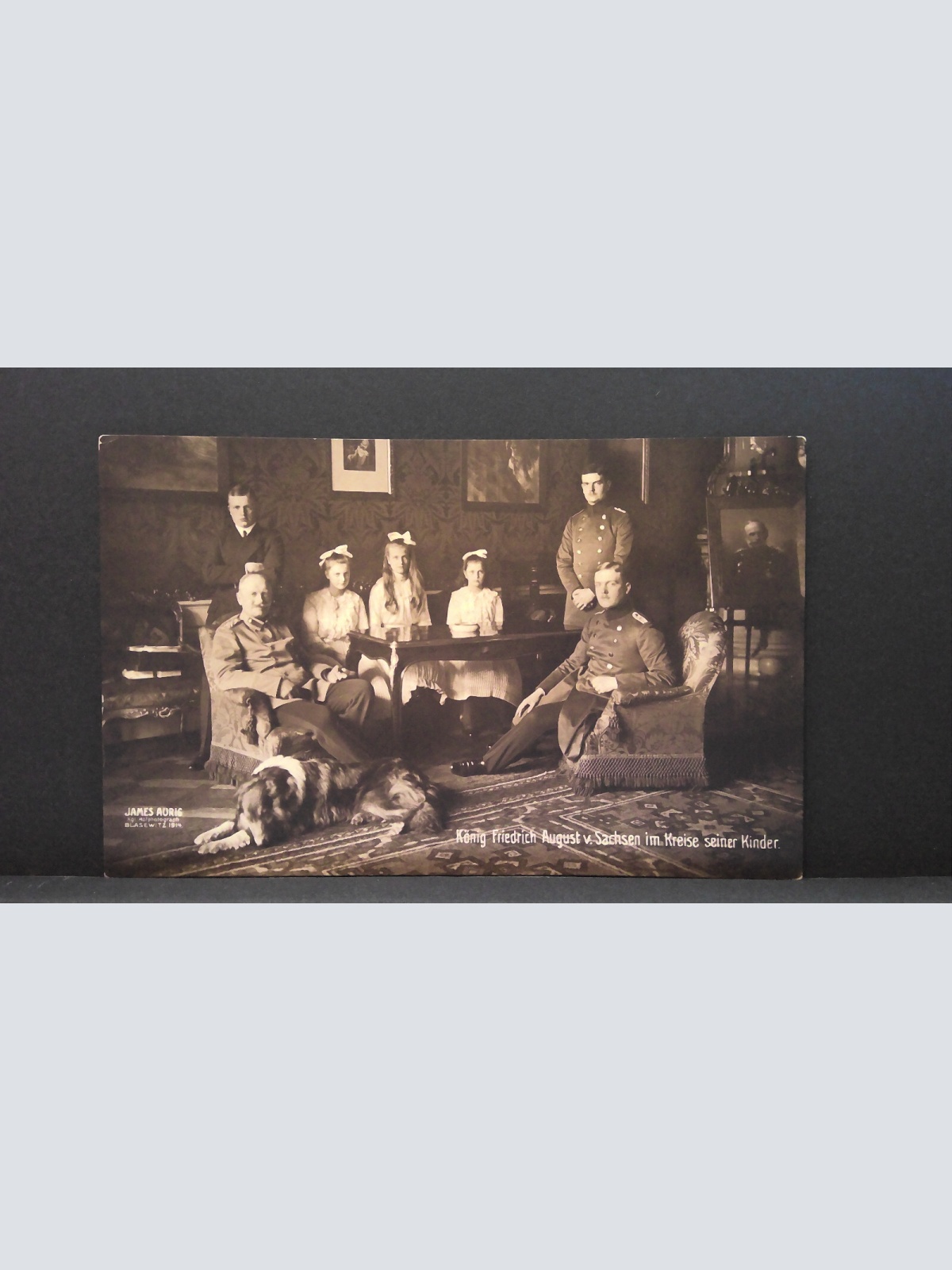 König Friedrich August von Sachsen Kreis seiner Kinder Rotes Kreuz JW 8047 C
