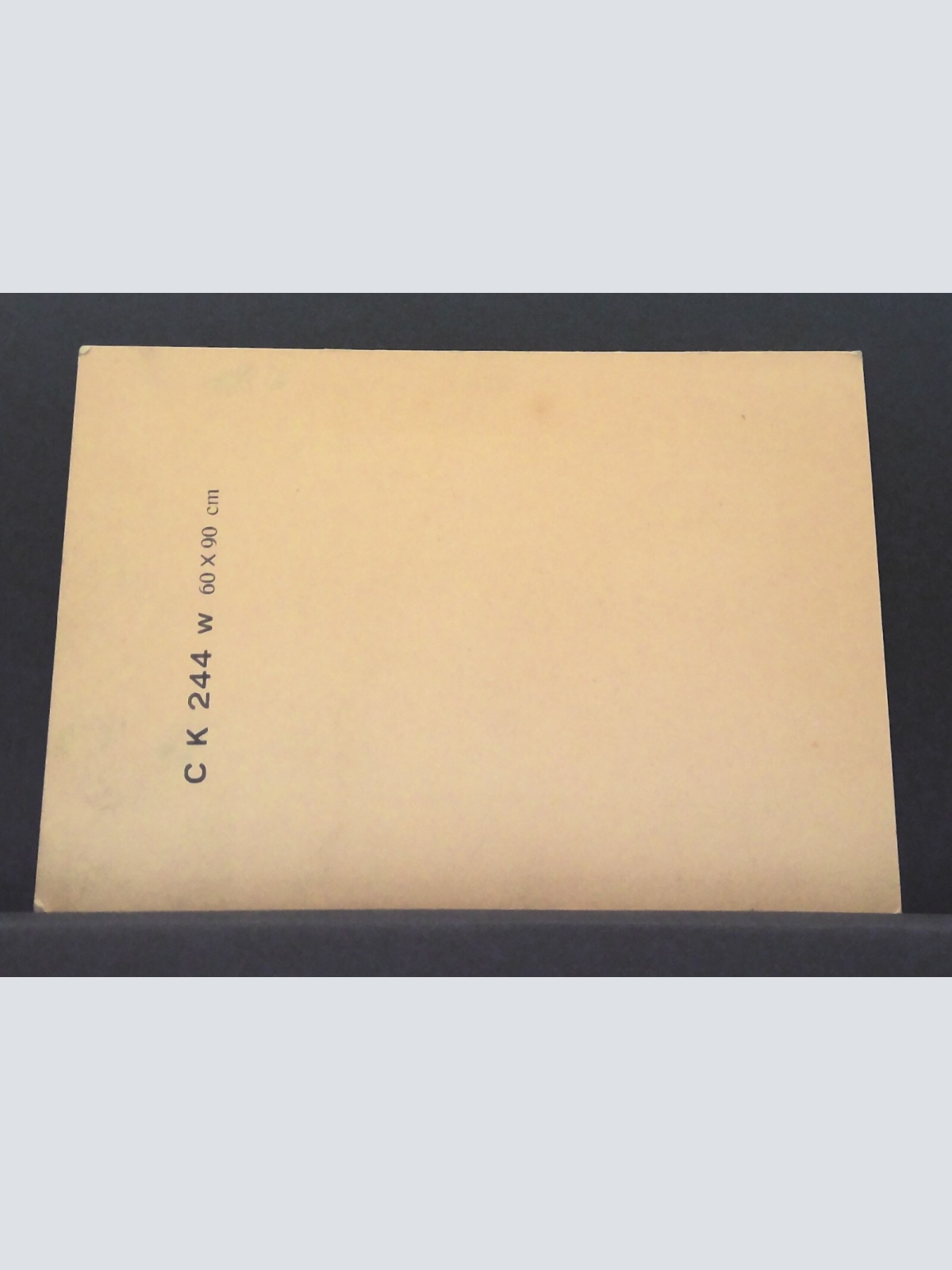 Marie Eugenie della Grazie Dichterin Österreich Porträt Zeichnung JW 650427 C