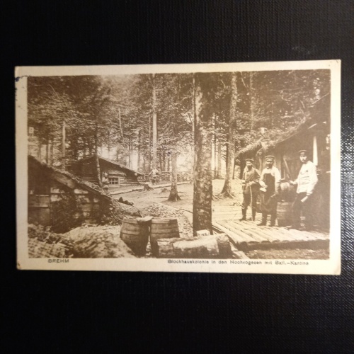 Brehm Blockhauskolonie 410560 gr C