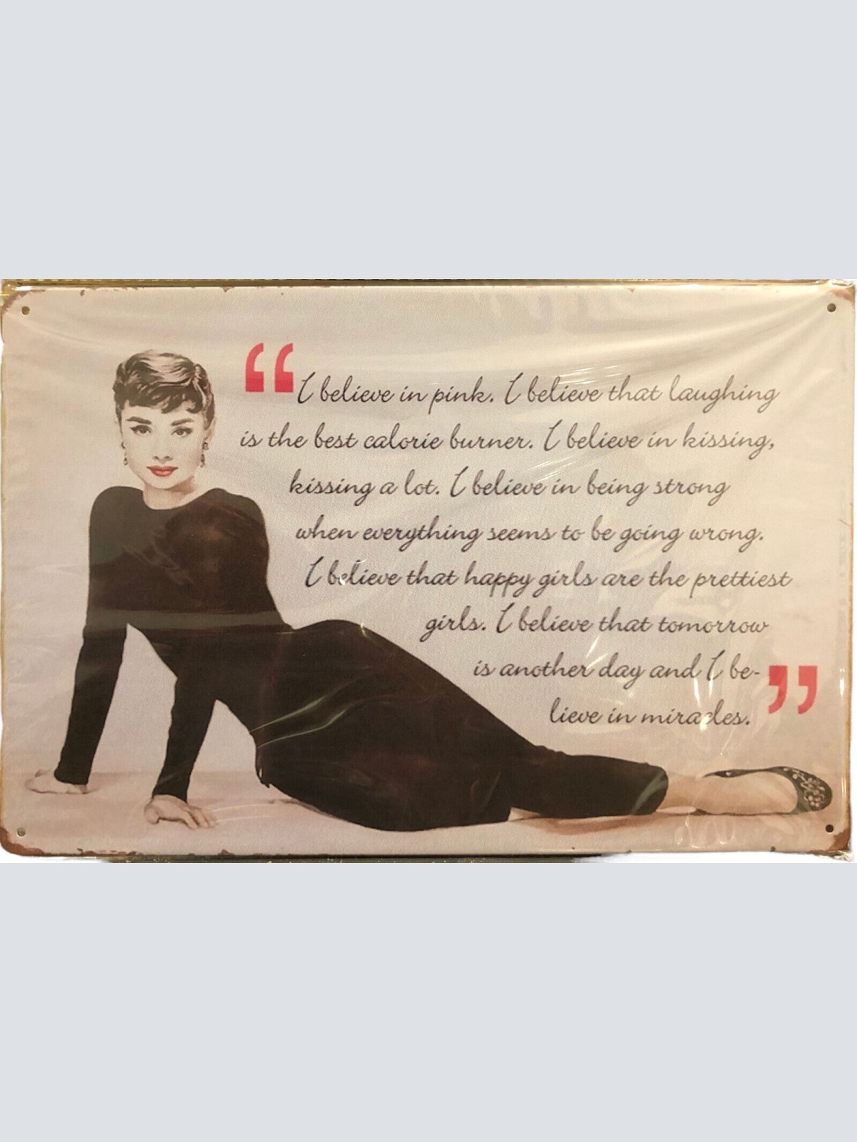 Nostalgie Vintage Retro Blechschild "Audrey Hepburn" 30x20    900209