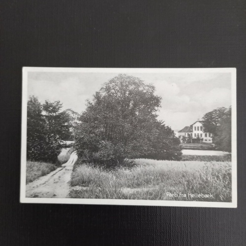 Parti fra Hellebaek 400348 gr F