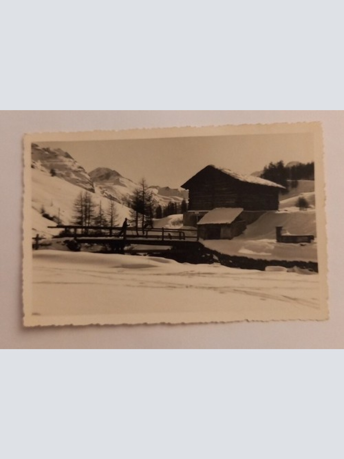 Sils im Engadin 600581A gr D