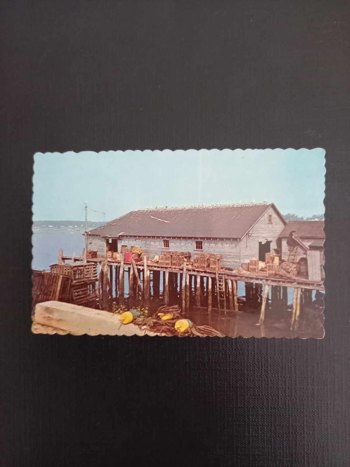 Lobster Wharf  400353  F