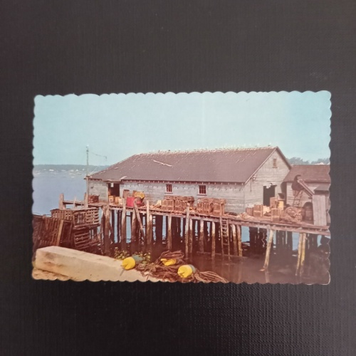 Lobster Wharf  400353  F