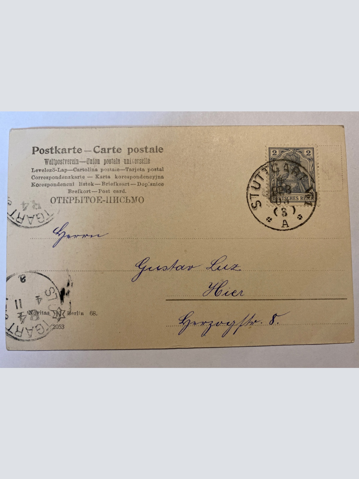 Kinder Blumen  um 1907  84017 F