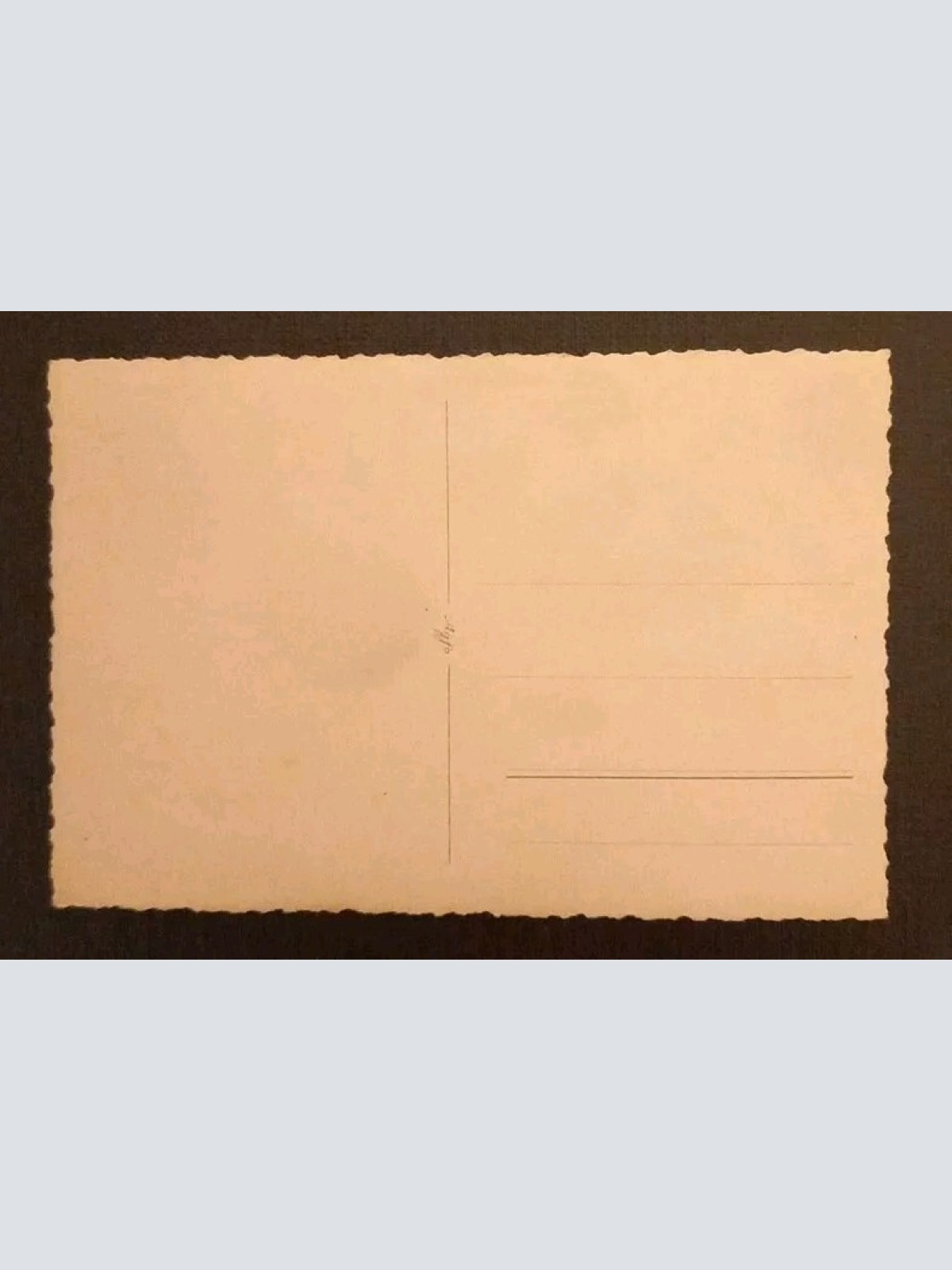 Salzburg Friedhof St.Peter 600692A gr K