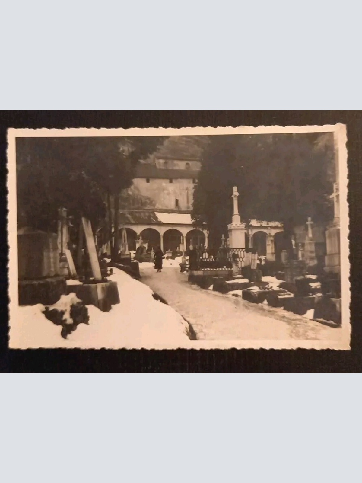 Salzburg Friedhof St.Peter 281354 gr K