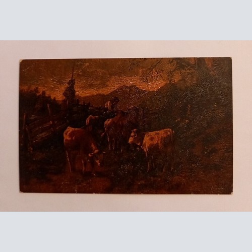 Kühe  mit Senn auf der Alm 600600A gr D