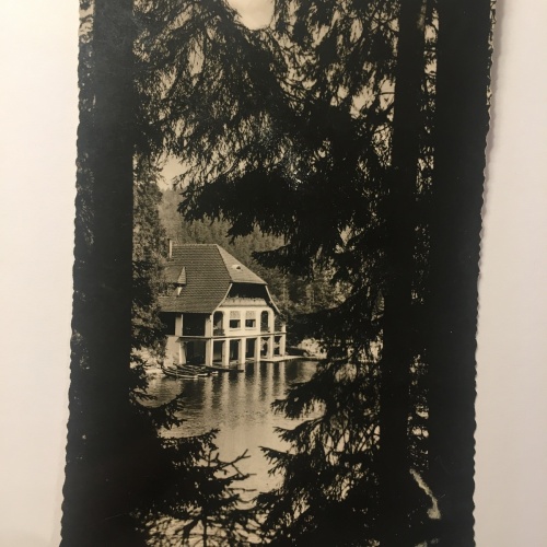 Freudenstadt im Schwarzwald 20295