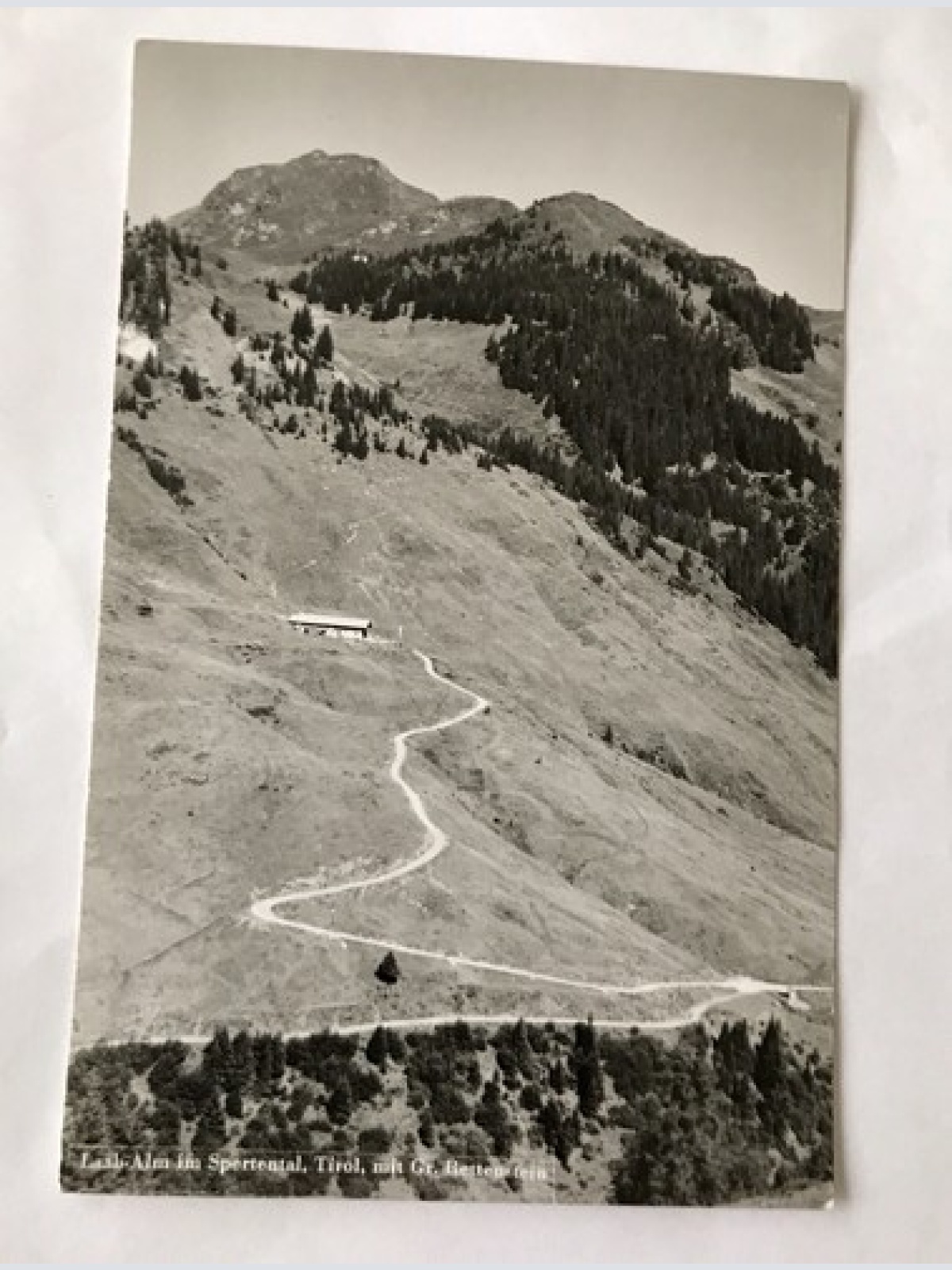 AK, Laab Alm, Spertental, Tirol, Rettenstein (110281 BW)