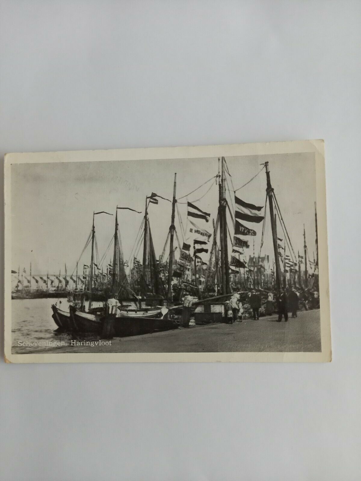 Niederlande  Scheveningen 12079