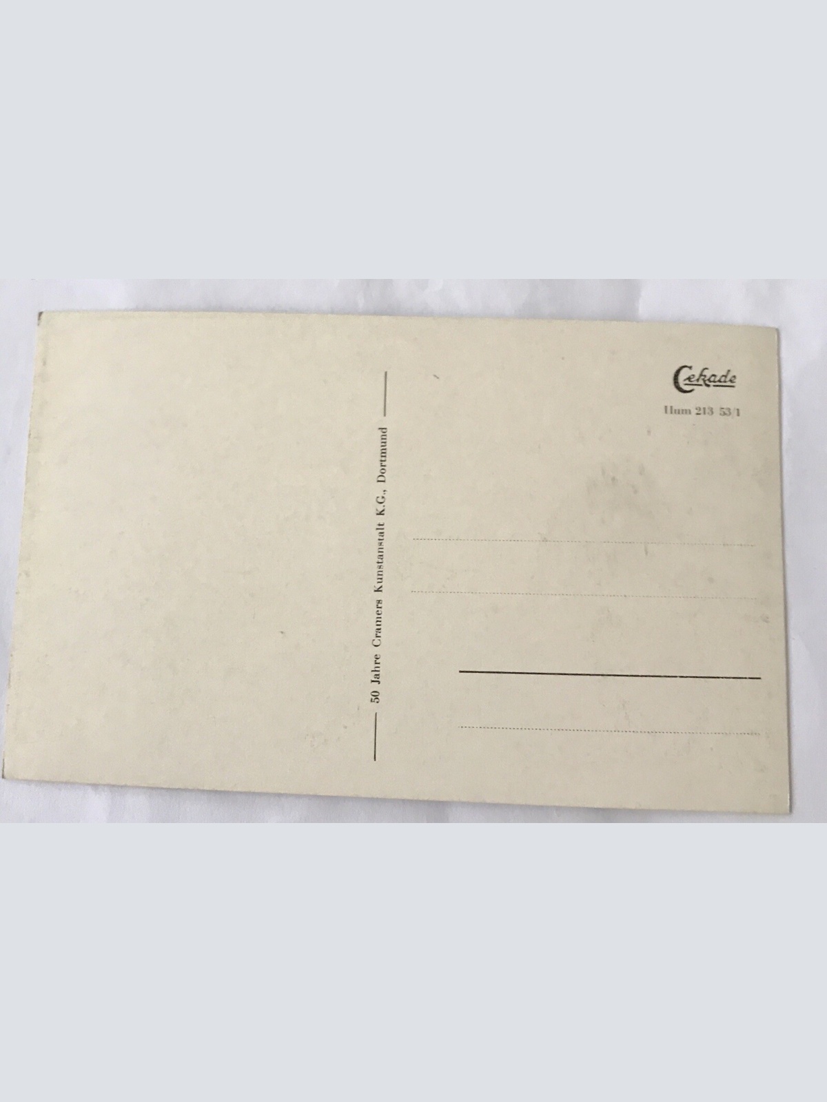 AK, Husum, Nordsee Schlosspark (110312 BW)