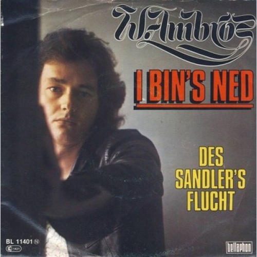 Wolfgang Ambros - I Bin's Ned (7", Single)