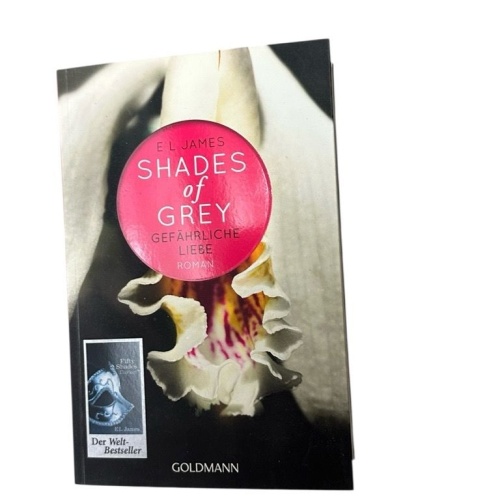 Fifty Shades of Grey - Gefährliche Liebe: Roman Bd. 2. Gefährliche Liebe Brandl,