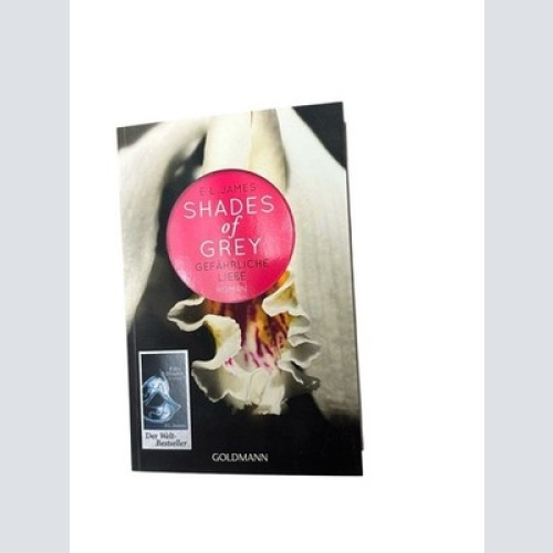 Fifty Shades of Grey - Gefährliche Liebe: Roman Bd. 2. Gefährliche Liebe Brandl,