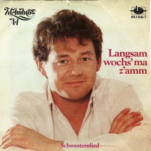 Wolfgang Ambros, Die No. 1 Vom Wienerwald - Langsam Wochs' Ma Z'amm (7", Single)
