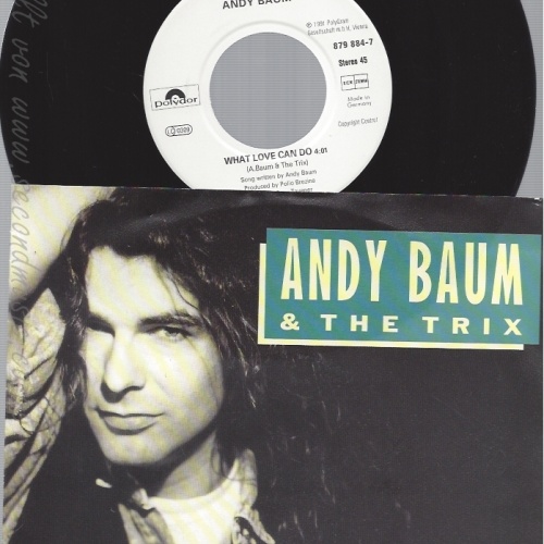 7" ANDY BAUM -- WHAT LOVE CAN DO