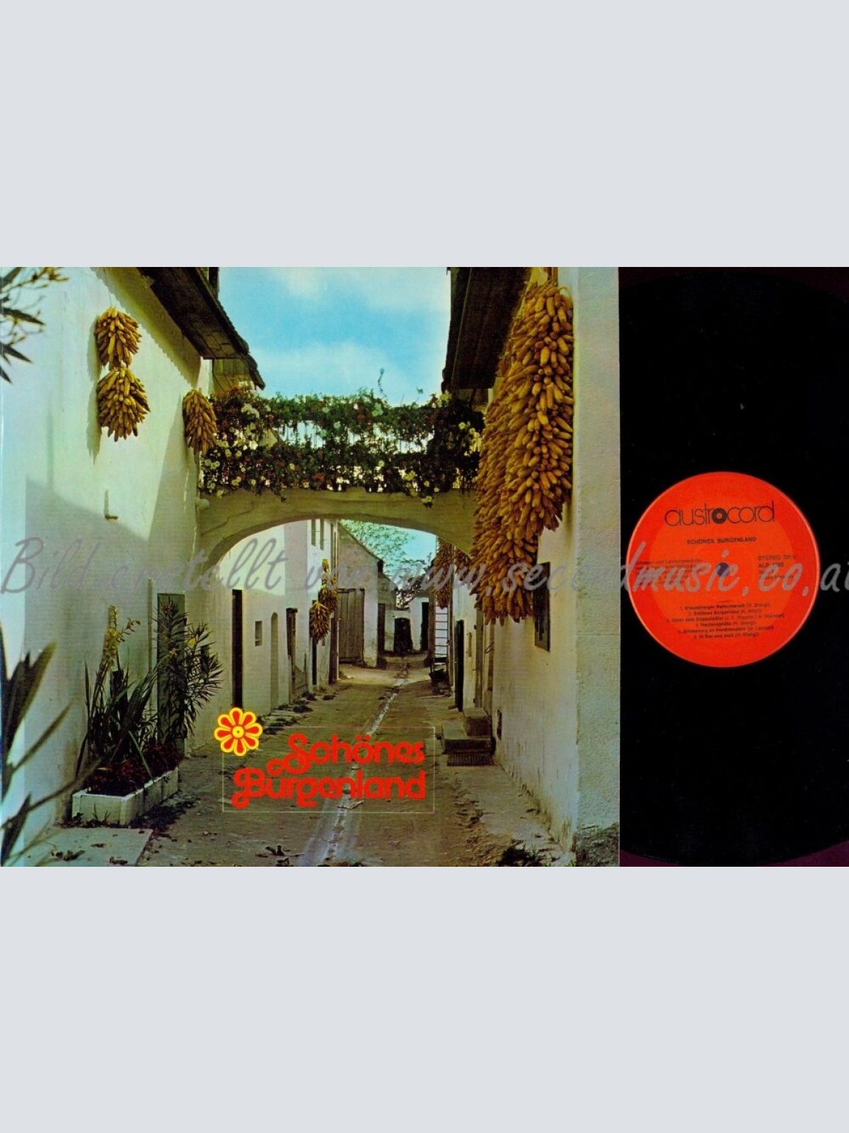 LP--SCHÖNES BURGENLAND--BRAUNSBERGER MUSIKANTEN-AICHINGER