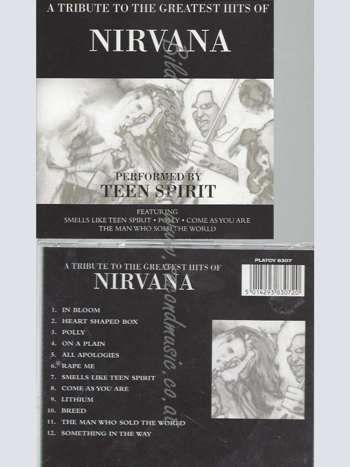 CD--TEEN SPIRIT--A TRIBUTE TO THE GREATEST...