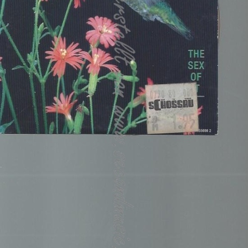 CD--KID CREOLE & THE COCONUTS--THE SEX OF IT | IMPORT