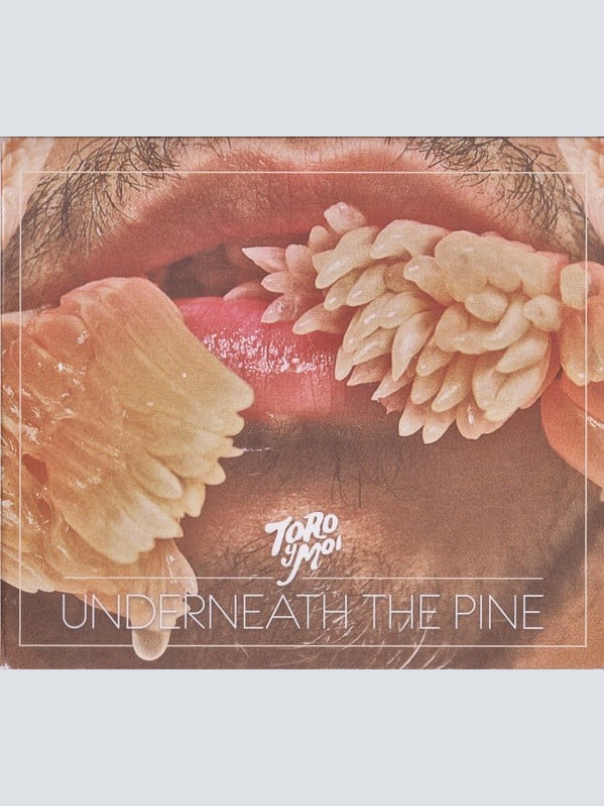CD, Album Toro Y Moi - Underneath The Pine