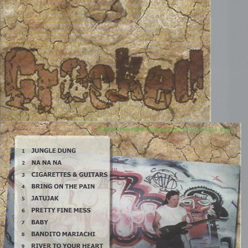 CD--STEVE LANG--CRACKED