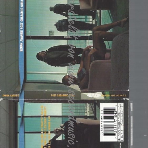 CD--SKUNK ANANSIE -POST ORGASMIC CHILL