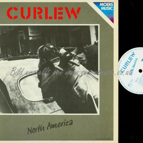 LP--CURLEW NORTH AMERICA //