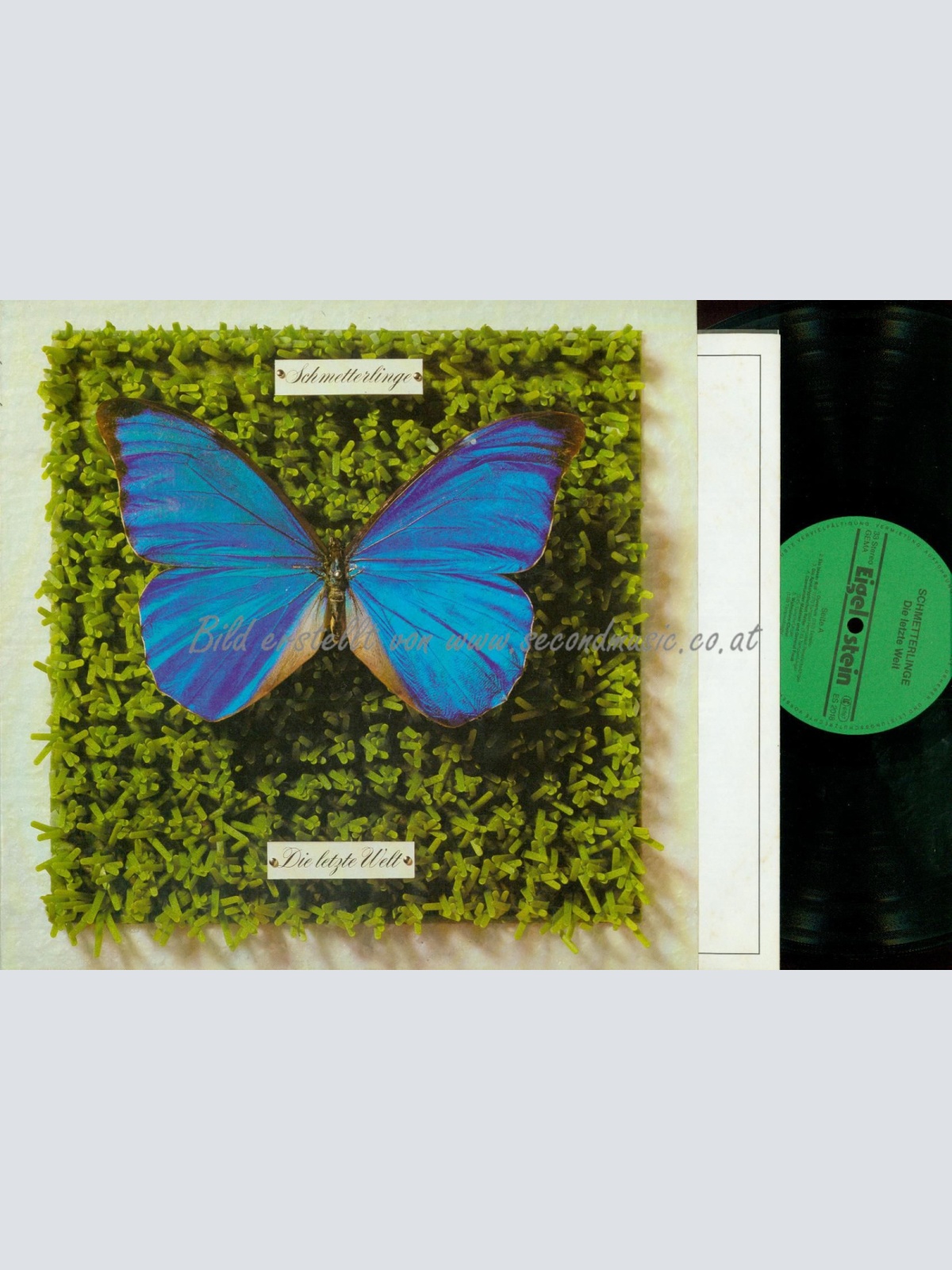 DLP--SCHMETTERLINGE DIE LETZTE WELT // + BEILAGE //