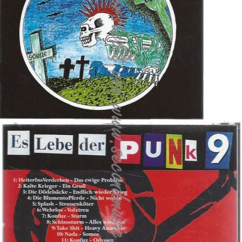 CD--VARIOUS--ES LEBE DER PUNK 9