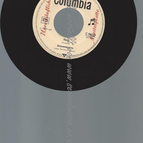 7"   DOLOMITENTRIO RESI / AVSENIK // MUSTERPLATTE