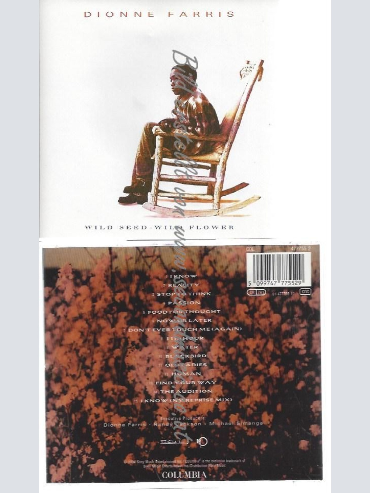 CD--DIONNE FARRIS--    WILD SEED - WILD FLOWER