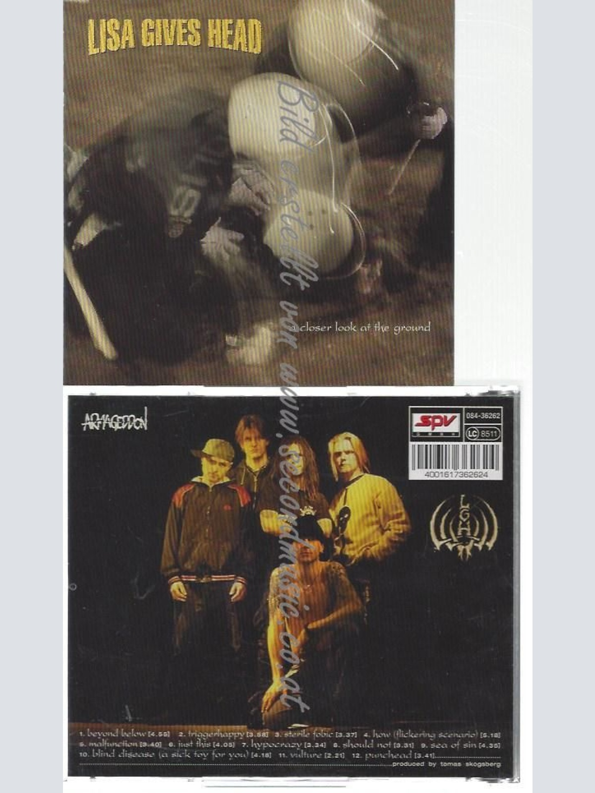 CD--LISA GIVES HEAD--    A CLOSER LOOK AT THE GROUND