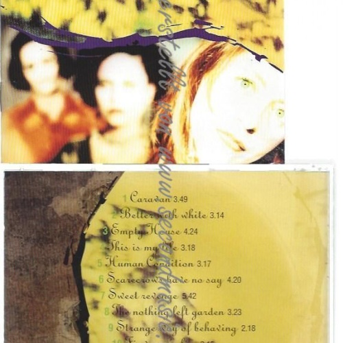 CD--Human Condition //  Shai No Shai