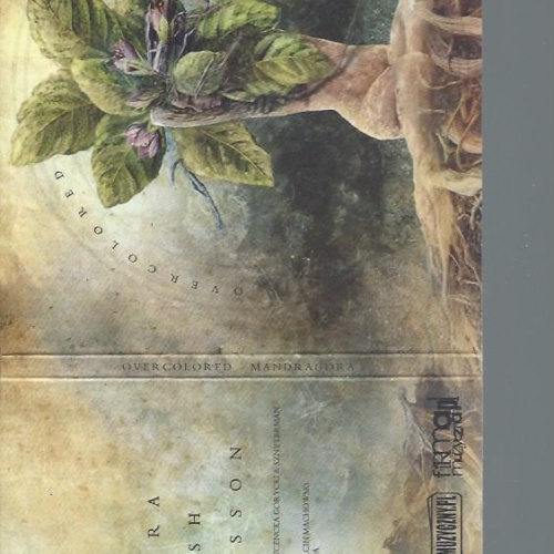CD-- Overcolored  Mandragora