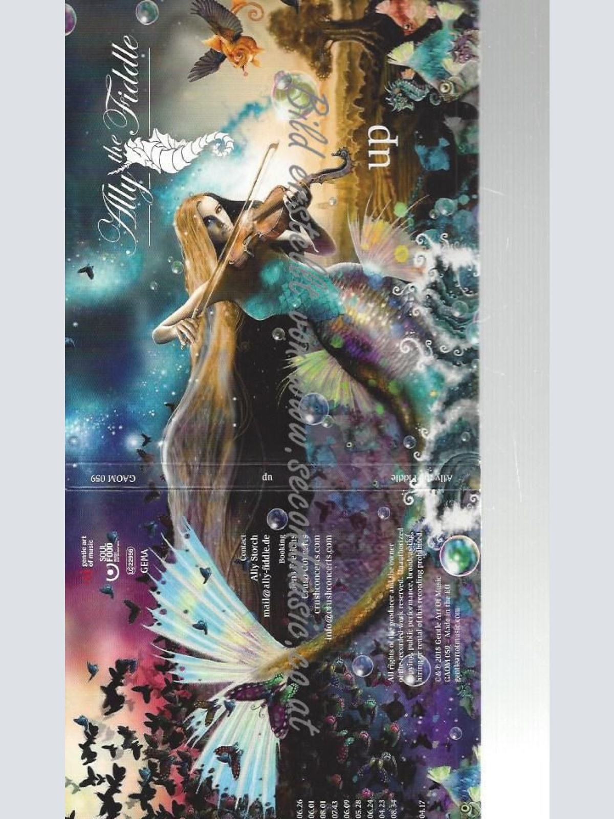 CD--ALLY THE FIDDLE--    UP